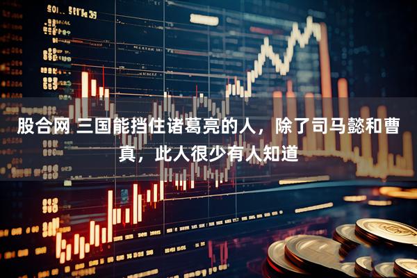股合网 三国能挡住诸葛亮的人，除了司马懿和曹真，此人很少有人知道