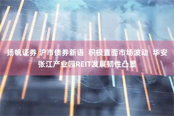 扬帆证券 沪市债券新语  积极直面市场波动  华安张江产业园REIT发展韧性凸显