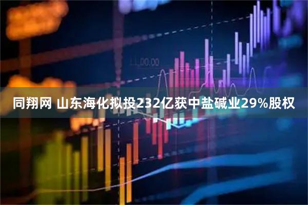 同翔网 山东海化拟投232亿获中盐碱业29%股权