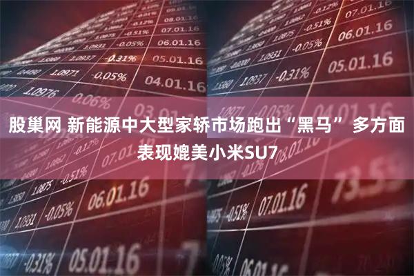 股巢网 新能源中大型家轿市场跑出“黑马” 多方面表现媲美小米SU7