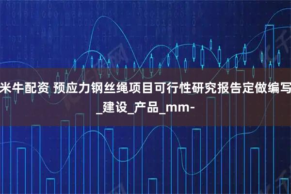 米牛配资 预应力钢丝绳项目可行性研究报告定做编写_建设_产品_mm-