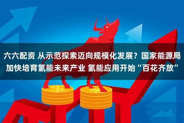 六六配资 从示范探索迈向规模化发展？国家能源局加快培育氢能未来产业 氢能应用开始“百花齐放”