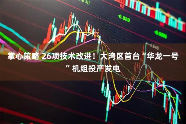 掌心策略 26项技术改进！大湾区首台“华龙一号”机组投产发电