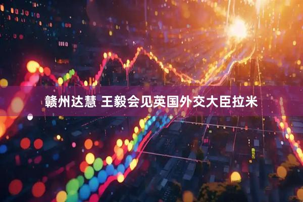 赣州达慧 王毅会见英国外交大臣拉米