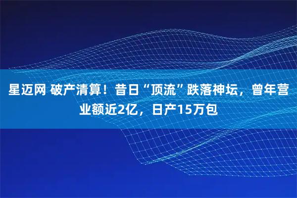 星迈网 破产清算！昔日“顶流”跌落神坛，曾年营业额近2亿，日产15万包
