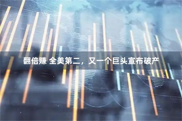 翻倍赚 全美第二，又一个巨头宣布破产