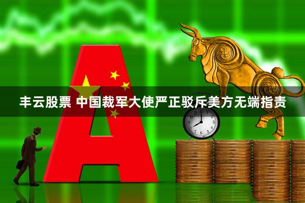 丰云股票 中国裁军大使严正驳斥美方无端指责