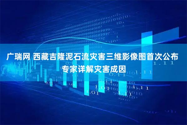 广瑞网 西藏吉隆泥石流灾害三维影像图首次公布 专家详解灾害成因